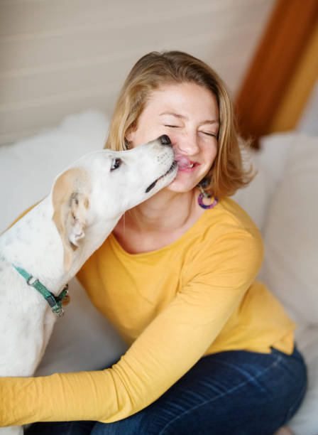 istock Canine companion 1190942581