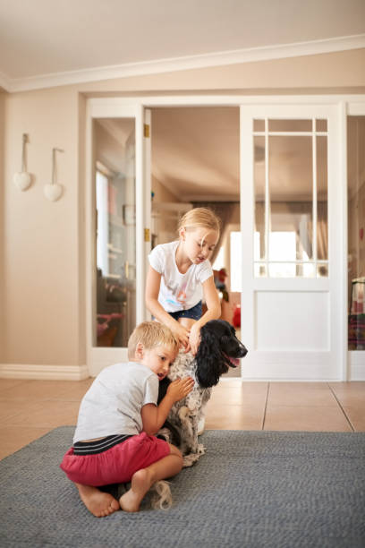 istock We are gonna spoil you so much 1190943432