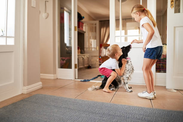 istock It's your treat time doggy 1190943648