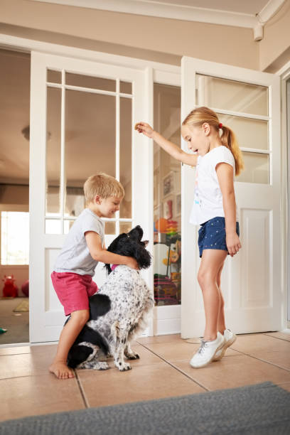 istock Hey jump, have some cookie doggy 1190943673