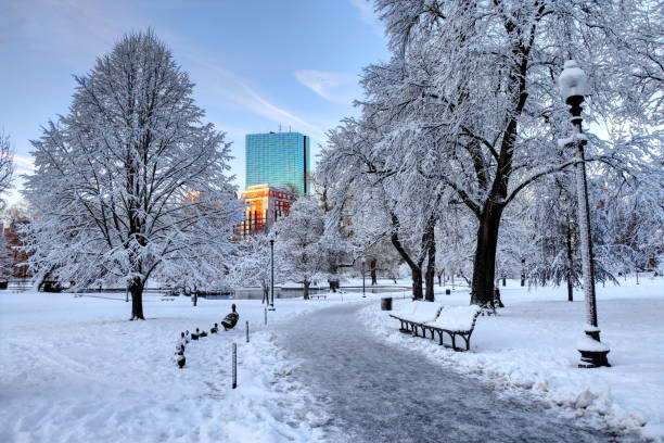 The Public Garden, also known as Boston Public Garden, is a large park in the heart of Boston, Massachusetts, adjacent to Boston Common.