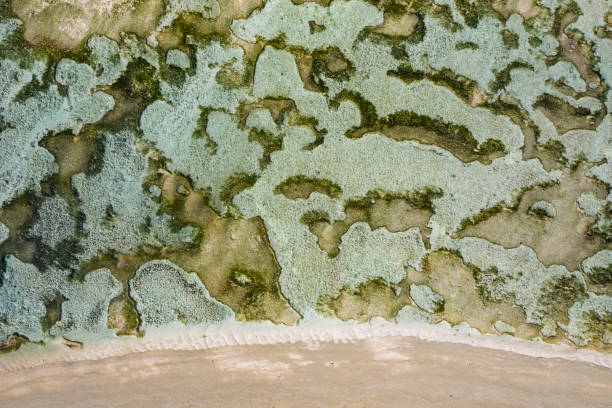 istock Drone view of a beach with coral in a lagoon 1190954333