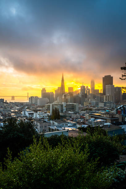 Ina Coolbrith Park at Dawn Sunrise over San Francisco from Ina Coolbrith Park transamerica pyramid san francisco stock pictures, royalty-free photos & images