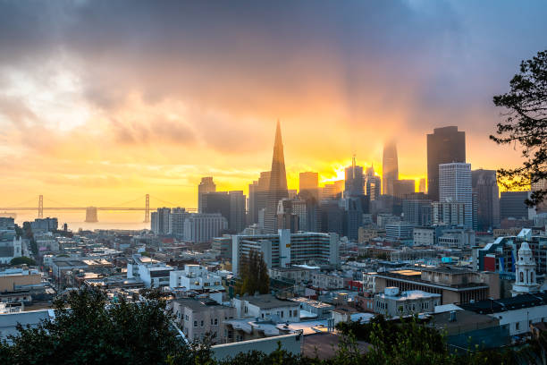 ina coolbrith park at dawn - nob hill imagens e fotografias de stock