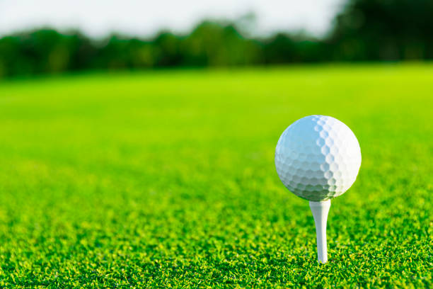 istock Golf ball on tee on golf course over a blurred green field at the sunset. Golf ball on tee over a blurred green field. 1190974450