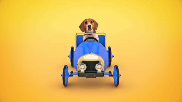 dog driving toy car. 3d rendering