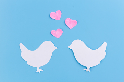 Couple of birds in love on blue background