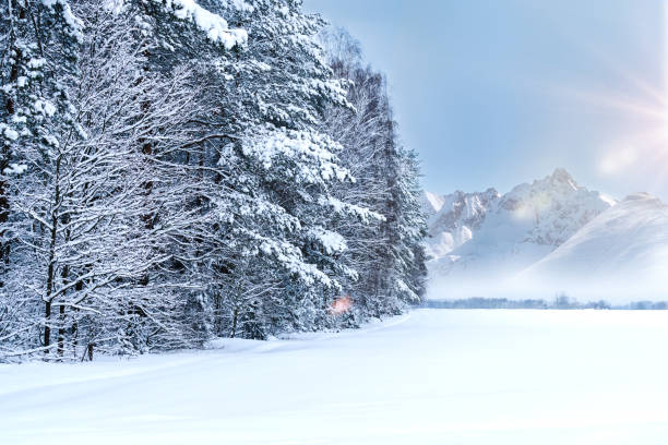 istock winter mountain landscape with snowy trees and blue sky. 1190982344