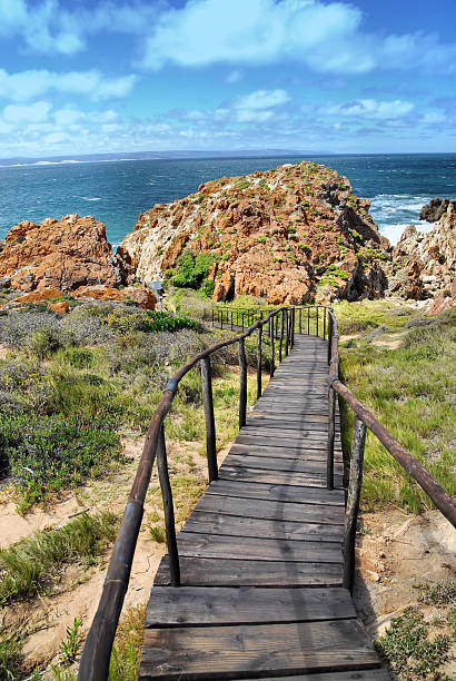 istock Walkway to the sea 119098295