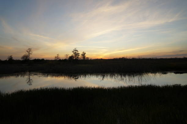 istock sunset in the swamp 1190983441