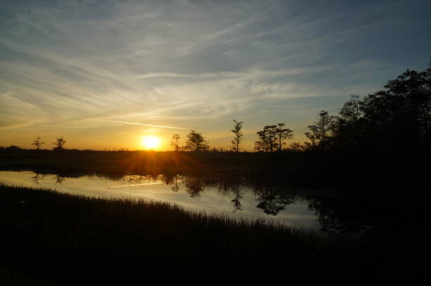 istock sunset in the swamp 1190984214