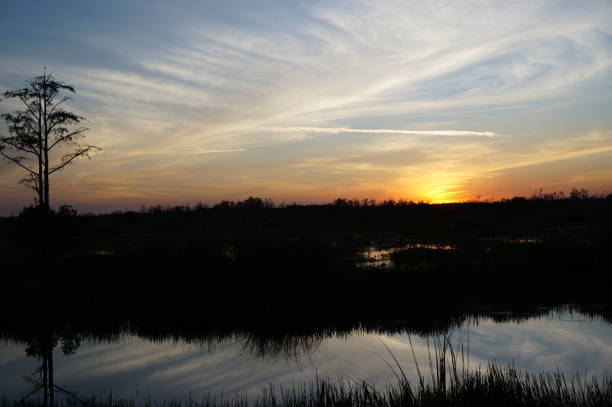 istock sunset in the swamp 1190984468