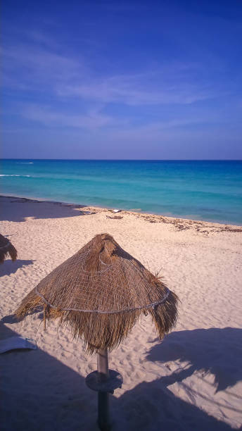 istock The beach landscape near Cancun in Mexico 1190987121
