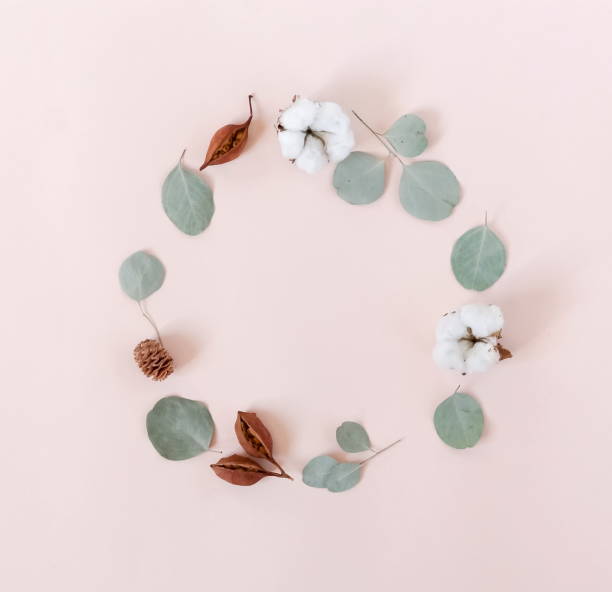 istock Flowers wreath, circle, frame composition background. Pattern made of dry eucalyptus branches and cotton flowers on pink background. Flat lay, top view. Copy space 1190988114