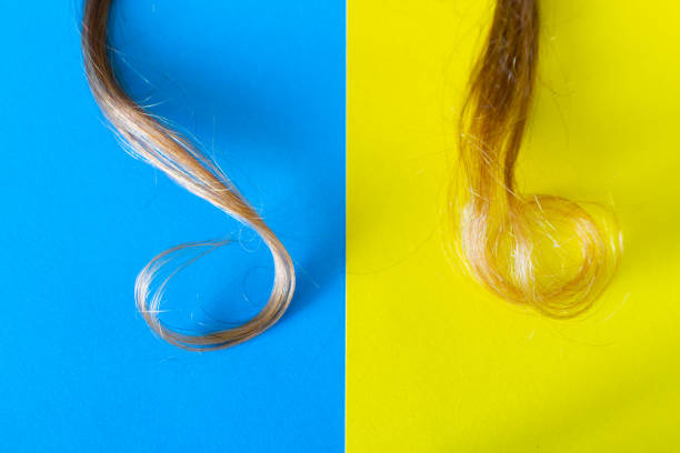 istock Curly hair and copy space 1190989260