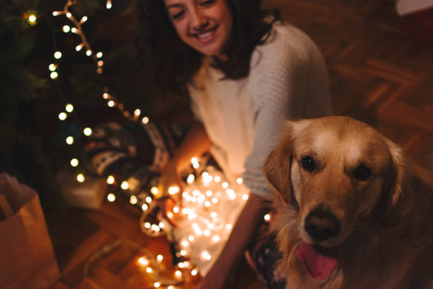 istock Happy Christmas time at home 1190990328