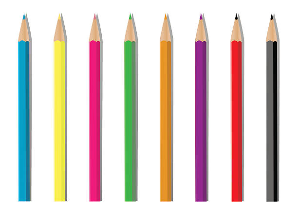 Pencils vector art illustration