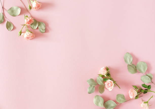 istock Flowers composition background . beautiful pink roses and eucalyptus leaves frame on pink backgrop.Top view.Copy space. Flat lay floral card. Holiday flowers concept. 1190995435