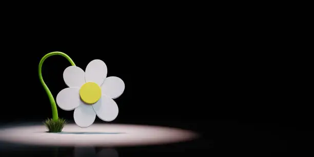 White Cartoon Daisy Flower 3D Shape Spotlighted on Black Background with Copy Space 3D Illustration