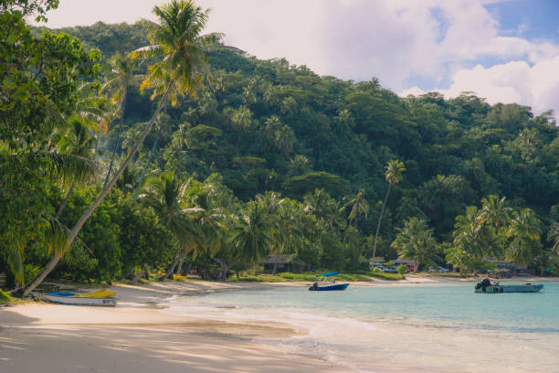 Matira Beach on Bora Bora on a sunny day with small boats and coconut palm trees. Matira beach is a less visited beach on bora bora. There are no big resorts at the beach, so it is much more unspoiled than other parts of the island. bora bora mountain stock pictures, royalty-free photos & images