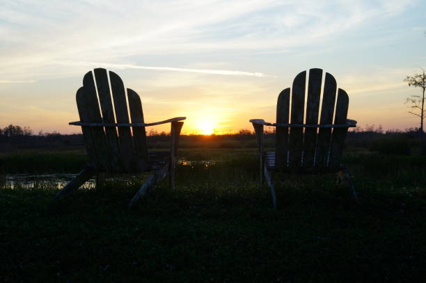 istock two swamp boats 1191004467