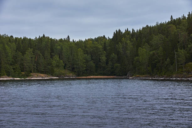istock The nature of Karelia 1191004796