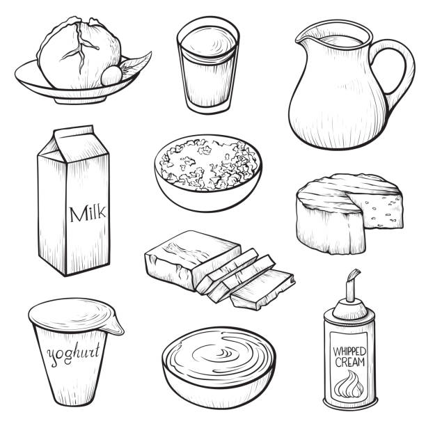 milchprodukte von hand gezeichnetvektor illustrationen set - quark stock-grafiken, -clipart, -cartoons und -symbole