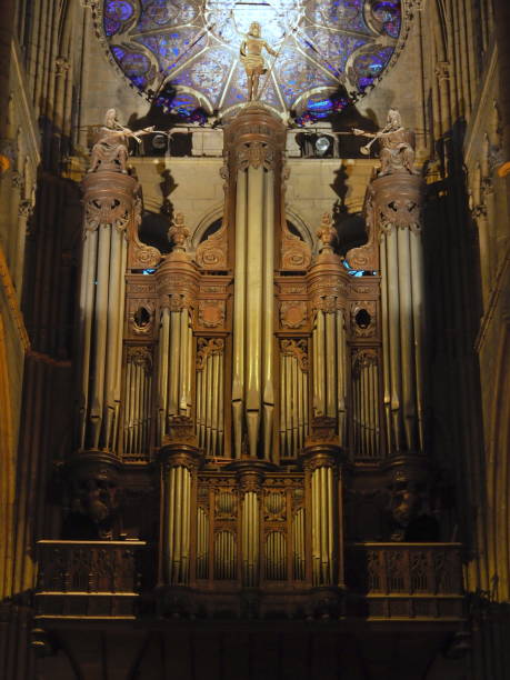 istock pipe organ in the Reims cathedral 1191014078