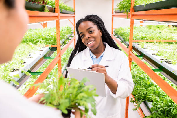 istock Happy young woman of African ethnicity making notes in document 1191015334