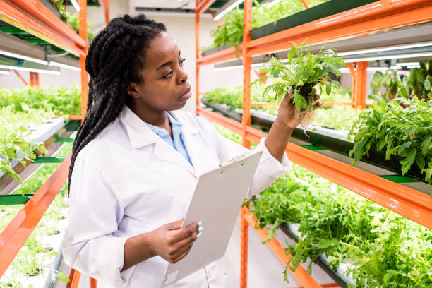 istock African female biologist with document standing by shelves with green seedlings 1191015342
