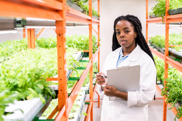 istock Young serious African female biologist looking at you while making research 1191015343