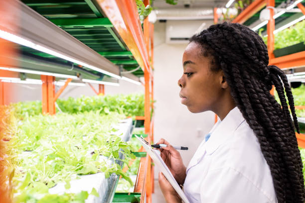 istock Contemporary female biologist with document making biological research notes 1191015350