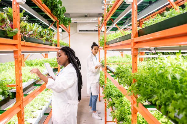 istock Young African biologist or researcher standing by shelf with seedlings 1191015363