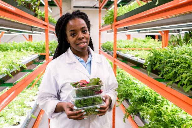 istock Cheerful young African greenhouse worker in whitecoat holding three containers 1191015419