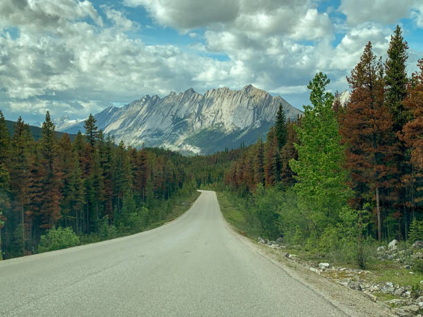 istock Long road to the mountains 1191017319