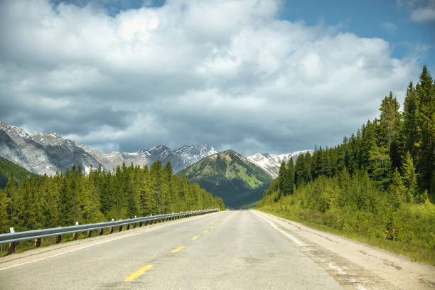 istock Paved highway through Canadian Rockies 1191018520