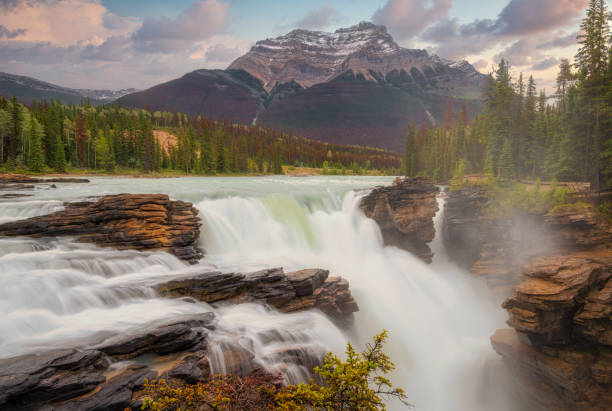 istock Athabasca Falls waterfall in Jasper National Park 1191018734
