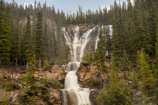 tangle falls along the icefields parkway - tangle falls imagens e fotografias de stock