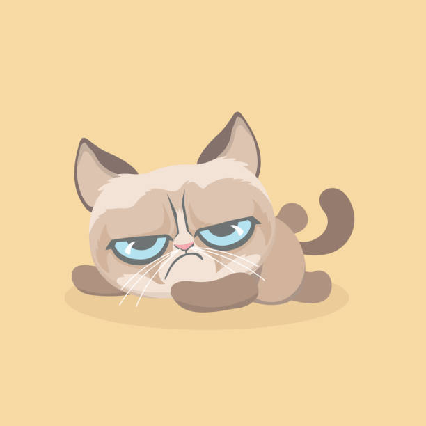 Animated Spring Grumpy Cat 340+ Grumpy Cat Cartoon Stock Illustrations, Royalty-Free Vector ...