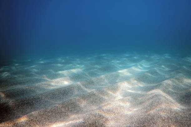 istock Sandy Sea Bottom Underwater Background, Underwater Blue Ocean 1191026043