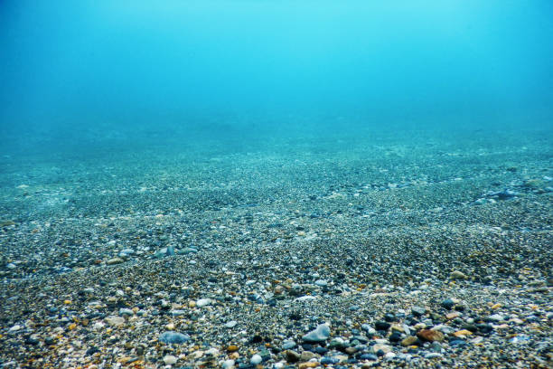 istock Underwater Rocks and Pebbles on the Seabed 1191026760
