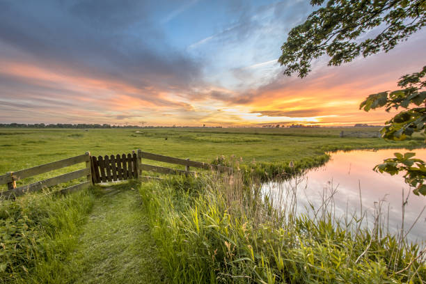 istock View from backyard of dairy farm 1191029497