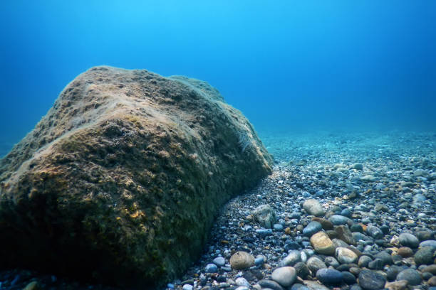 istock Underwater Rocks and Pebbles on the Seabed 1191029522