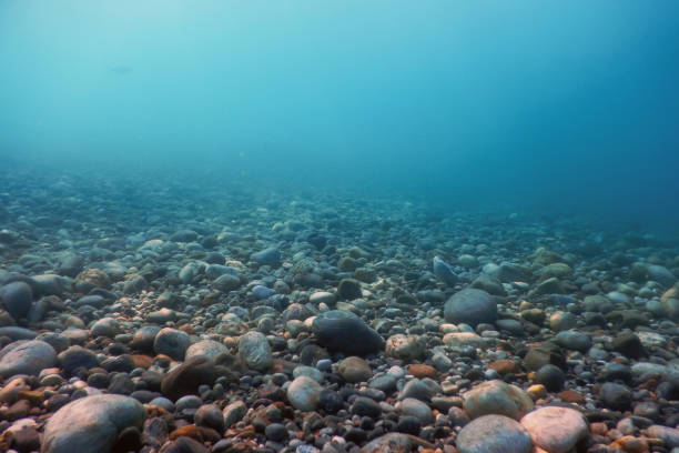 istock Underwater Rocks and Pebbles on the Seabed 1191029599