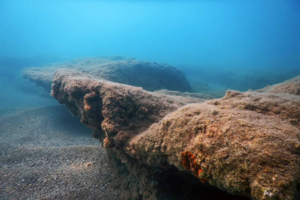 istock Sea Life Underwater View Sunlight, Underwater Life. 1191029674