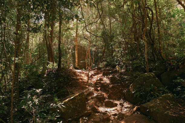 istock Uphill of Phu Kradueng. 1191031546
