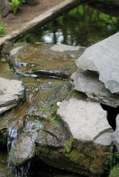 istock japan garden 1191039935