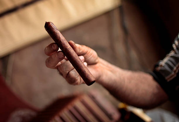 Mão de charuto cubano feito pelo homem - foto de acervo