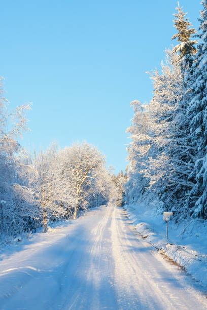 route de forêt d'hiver avec la neige et le gel - 18813 photos et images de collection