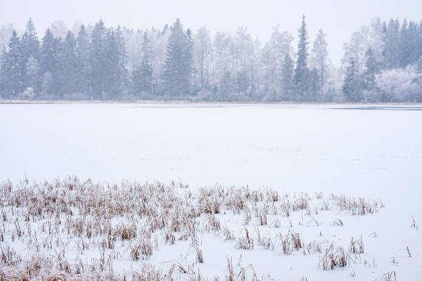 istock Ice covered lake in bad weather 1191045090